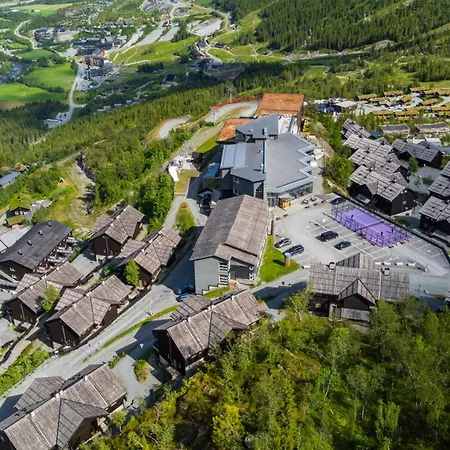 Spacious Family In Hemsedal, In-out, Sauna, 30m From Skardsnuten Hemsedal
